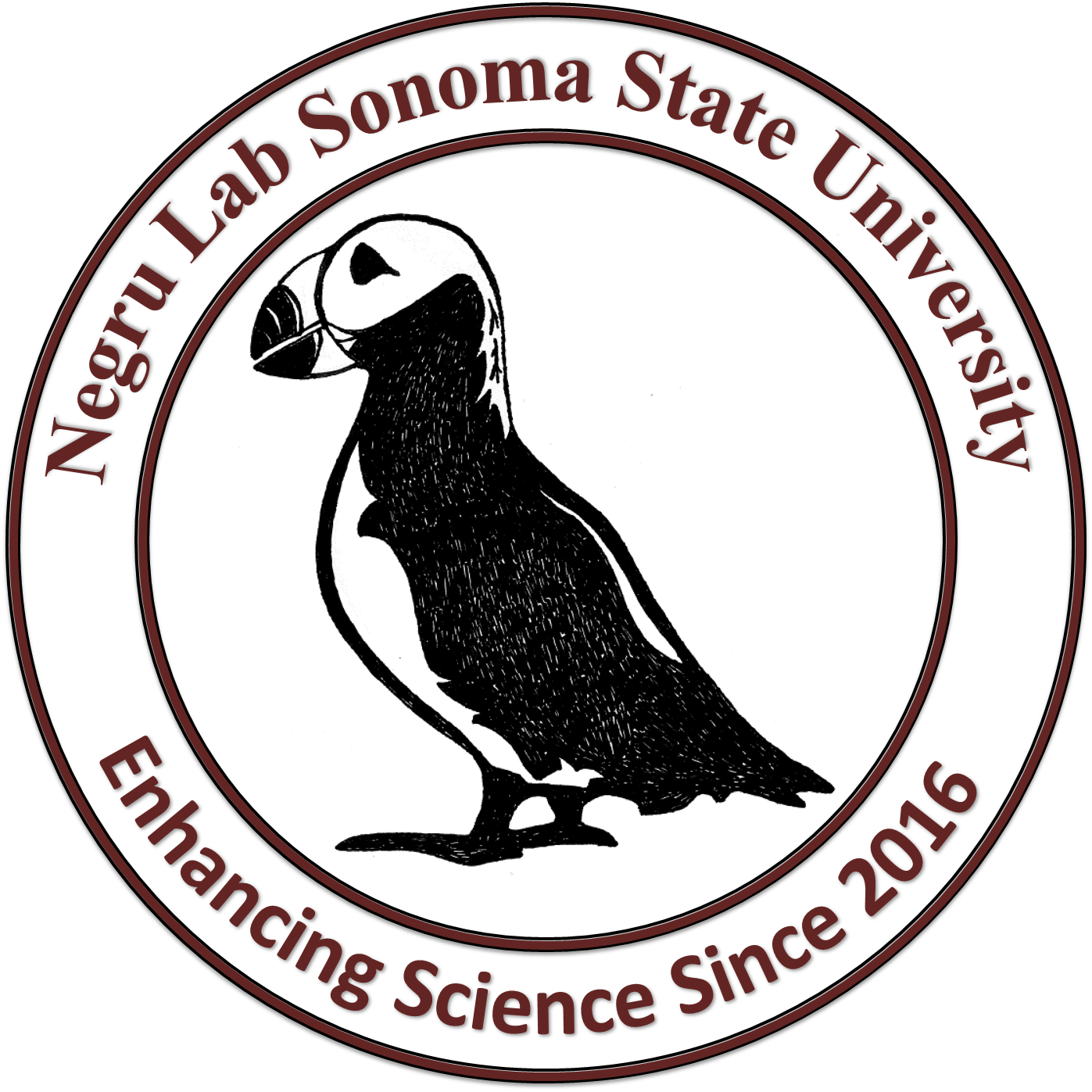 Negru Lab Sonoma State University Enhancing Science Since 2016